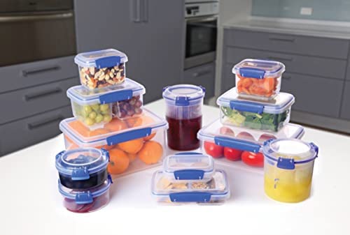 Sistema 1830 Klip It Collection Rectangle Food Storage Container, 101 Ounce
