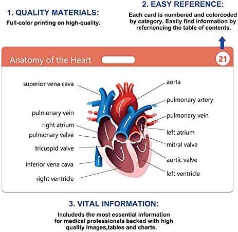 49 Horizontal Nursing Badge Reference Cards, Nursing School Essentials Set, Bonus Cheat Sheets - Lab Values, EKG, Vitals, Etc for Nurse, LPN, Or Students