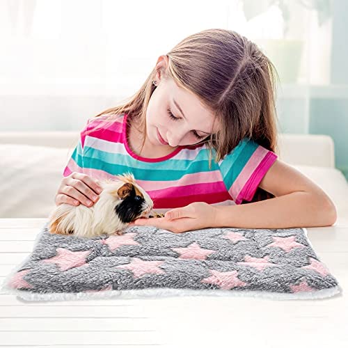 Jetec 4 Pieces Rabbit Guinea Pig Bed Mats Soft Plush Bunny Pad Mats Small Animal Winter Sleep Bedding Mat for Bunny Hamster Guinea Pig Squirrel Rabbit (Big Twinkle, 10 x 11 Inch)