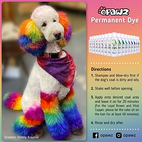 OPAWZ Permanent Dog Hair Dye, Pet Hair Dye Safely Used by Grooming Salons for a Decade, Pet Safe Dye Lasts Over 20 Washes, Bright Color for Dogs and Horses (Chic Violet)