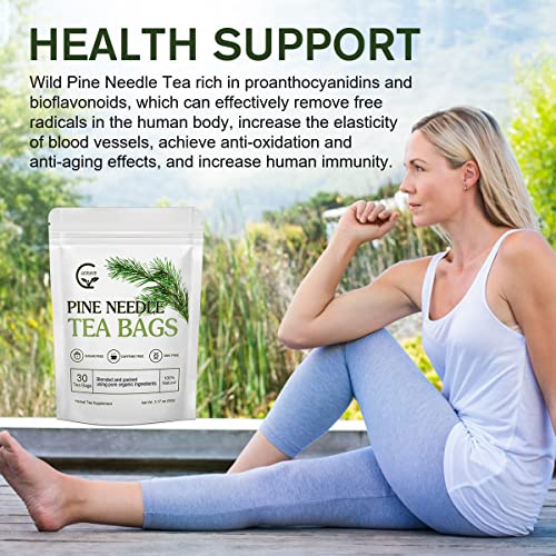 Organic Pine Needle Tea Bags - 100% Pure Natural Dried Pine Needles Herbal Tea, Effectively Antioxidant & Immune Support, Caffeine Free, 30 Tea Bags