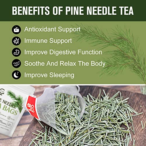 Organic Pine Needle Tea Bags - 100% Pure Natural Dried Pine Needles Herbal Tea, Effectively Antioxidant & Immune Support, Caffeine Free, 30 Tea Bags