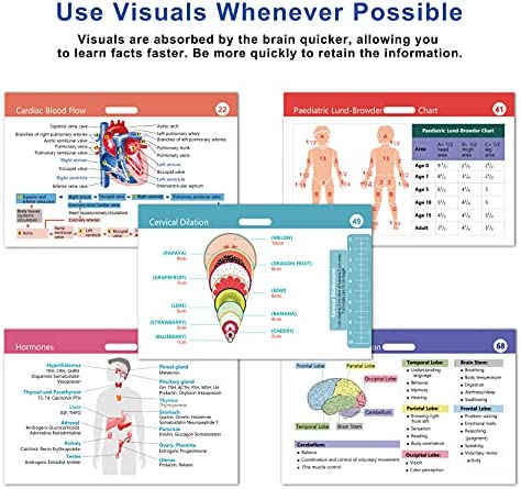 49 Horizontal Nursing Badge Reference Cards, Nursing School Essentials Set, Bonus Cheat Sheets - Lab Values, EKG, Vitals, Etc for Nurse, LPN, Or Students