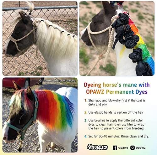 OPAWZ Permanent Dog Hair Dye, Pet Hair Dye Safely Used by Grooming Salons for a Decade, Pet Safe Dye Lasts Over 20 Washes, Bright Color for Dogs and Horses (Chic Violet)