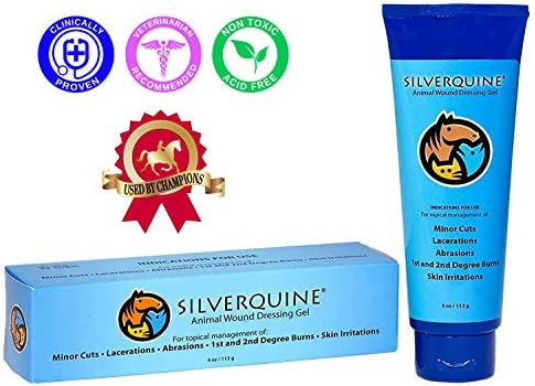 Silverquine Advanced Active Hydrogel Wound and Skin Care for Dogs Cats Horses Protects and Fast Healing from Cuts Hotspot Burns Scratches Skin Irritation Soothing Gel Vet Recommended