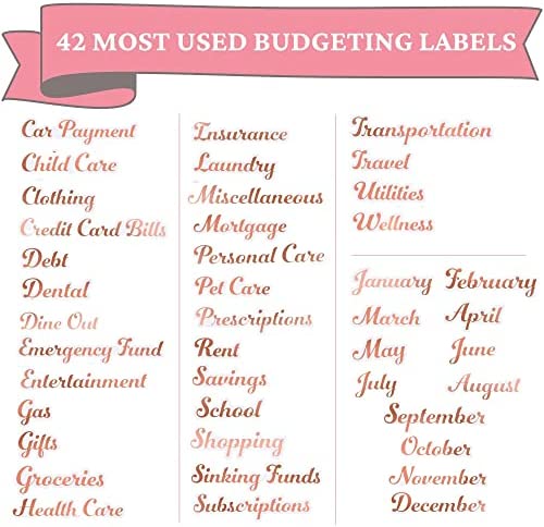 Budget Binder Label Stickers for Cash Envelopes, 42 Rose Gold Budgeting Labels, Personalized Sticker for Wallet Monthly Planners Bills Coupon Savings Money Organizer, Waterproof Vinyl Letter Decal