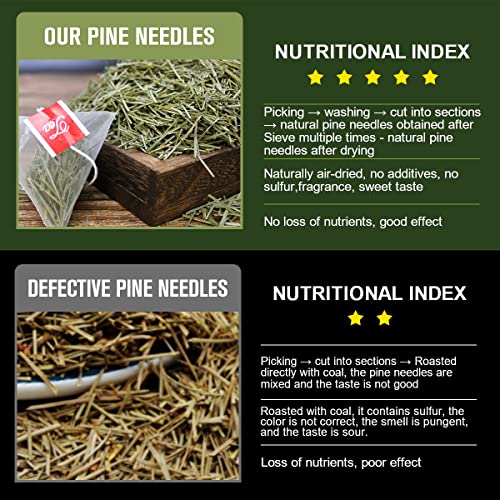 Organic Pine Needle Tea Bags - 100% Pure Natural Dried Pine Needles Herbal Tea, Effectively Antioxidant & Immune Support, Caffeine Free, 30 Tea Bags