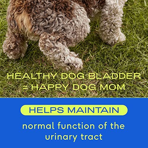 Native Pet Dog UTI Treatment | Cranberry Chews for Dogs and Cat UTI | Bladder Control for Dogs | Dog Urinary Tract Infection Treatment | UTI Medicine for Dogs | Dog Cranberry Supplement | 60 Chews