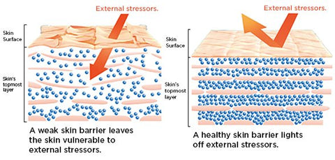Blue Copper Peptide Hyaluronic Acid Serum