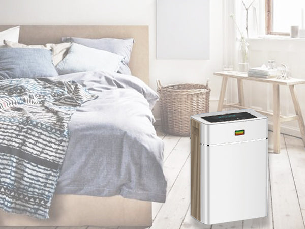 Air Purifiers