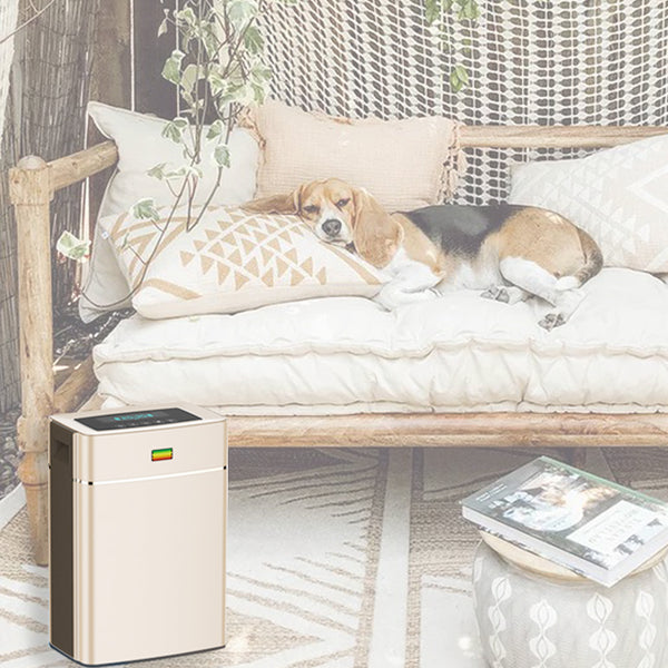 Air Purifiers