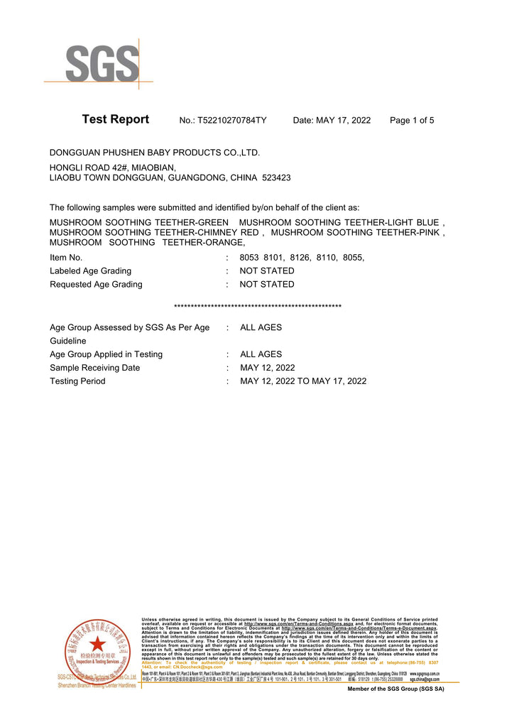 safety report-1