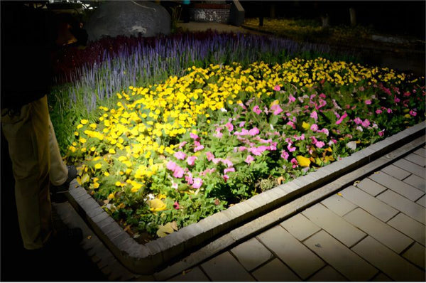 CL28R different visual effects