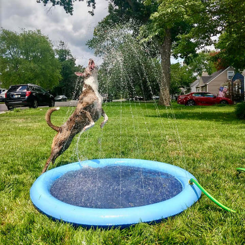 Outdoor Sprinkler Pad for Pets & Kids 2