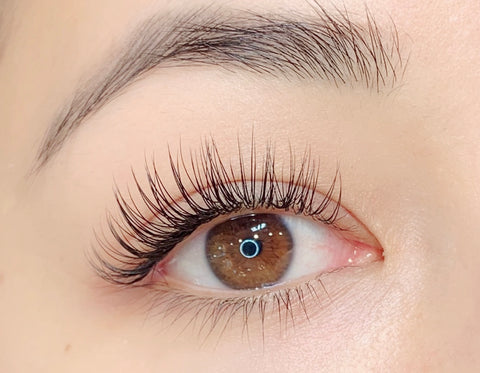 Lash Extensions
