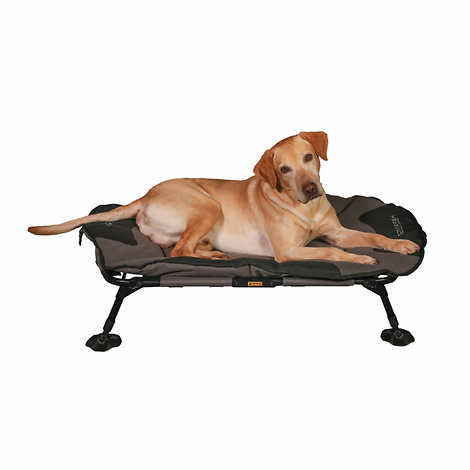 MOmarsh Home Cot Dog Bed