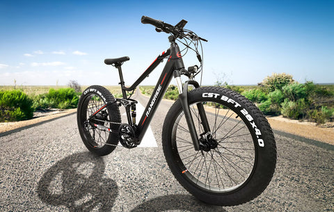 YANZE Electric Bike Factory