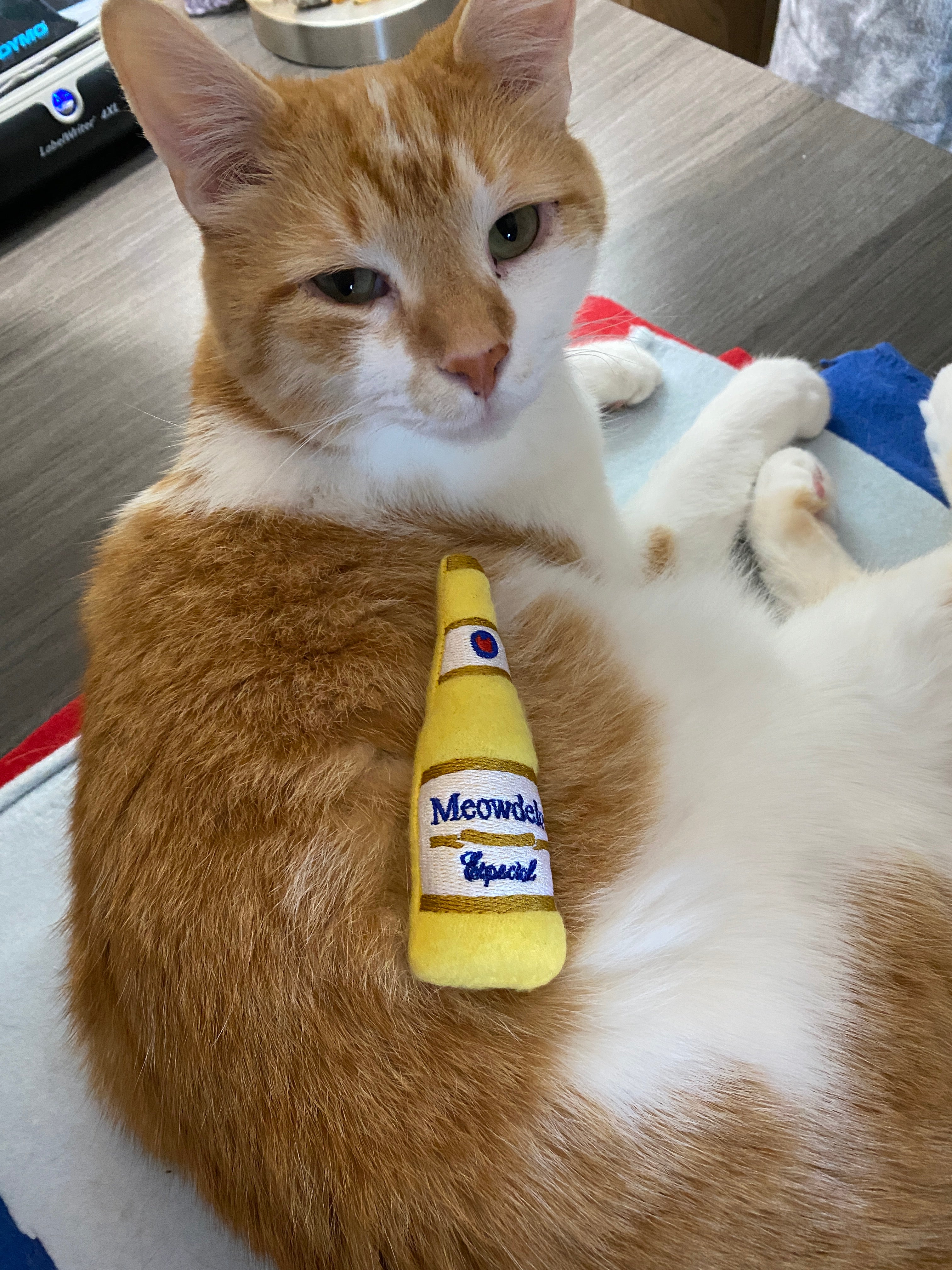 Meowdelo Modelo Beer Cat Toy - Catnip Toy