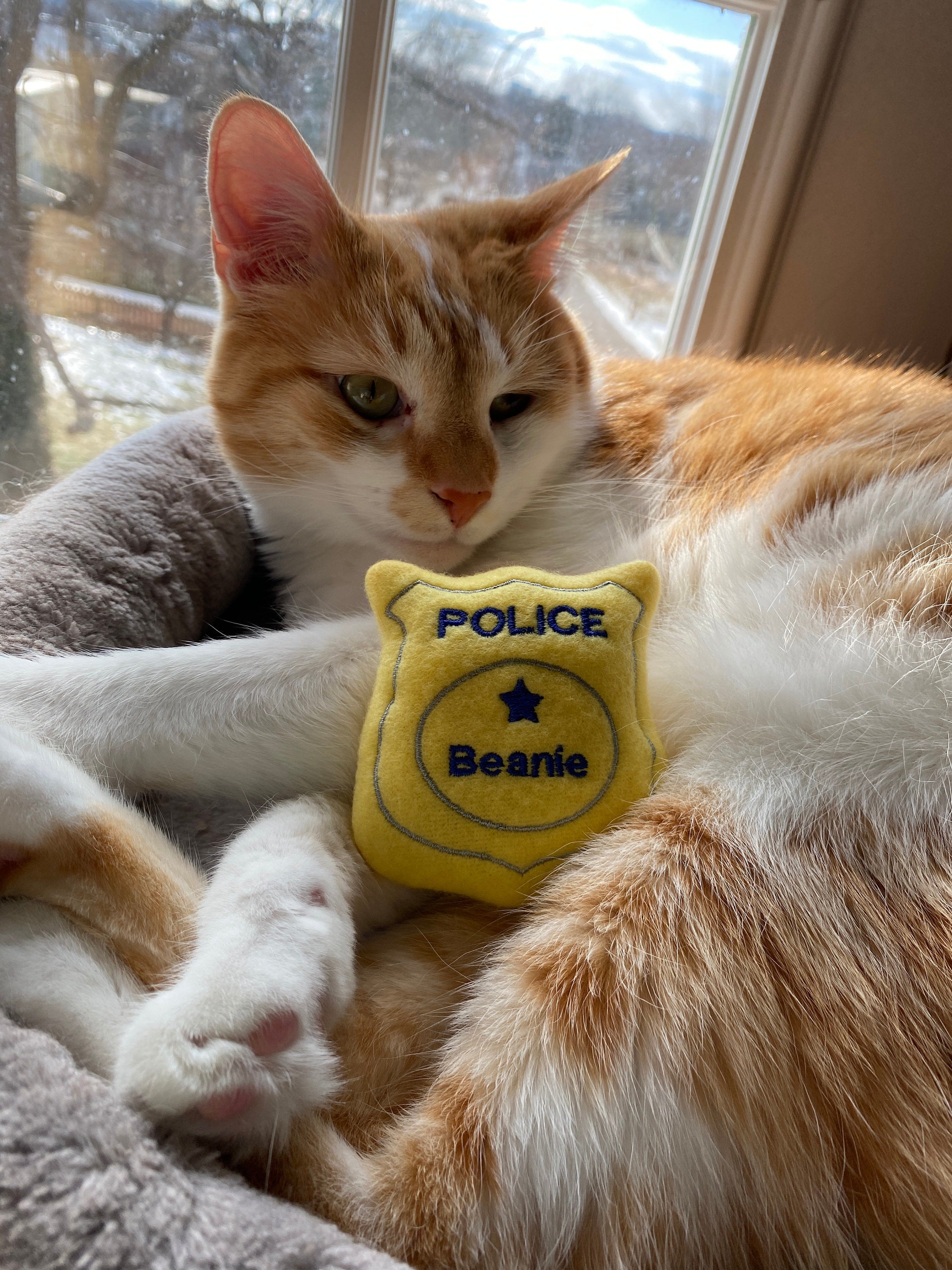 Police Badge Custom Cat Toy - Personalized Catnip Toy