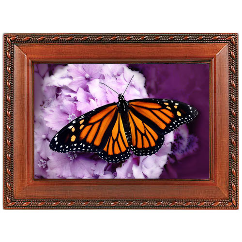  Monarch Butterfly Music Box - Woodgrain 