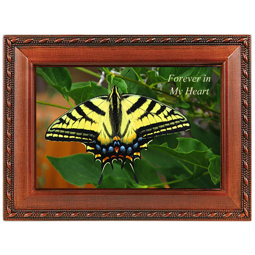  Swallowtail Butterfly Music Box 