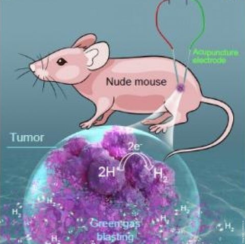 Hydrogen Gas in Cancer Treatment