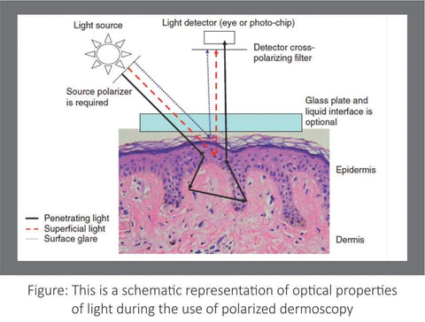 princípio de design