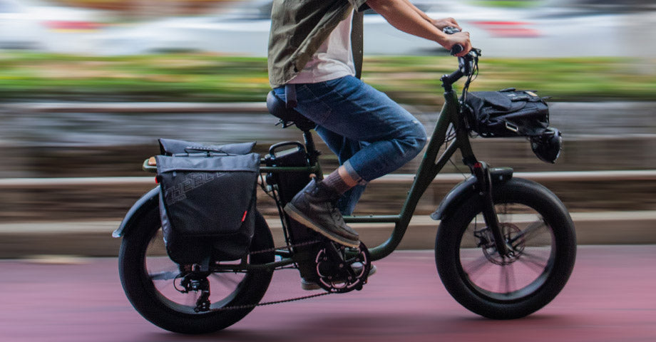 Fiido Elektrische Lastenfahrräder