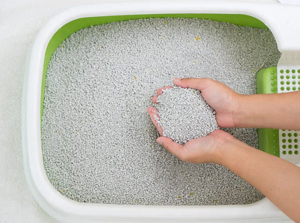 Amosijoy-Blog Picture: Someone is holding the cat litter from a litter box.