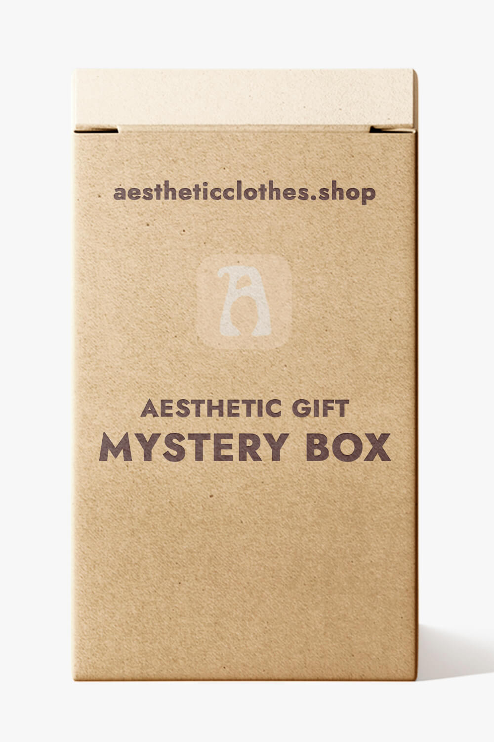 Aesthetic Gift Mystery Box