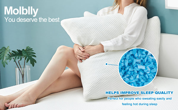 Memory Foam Filling Molblly