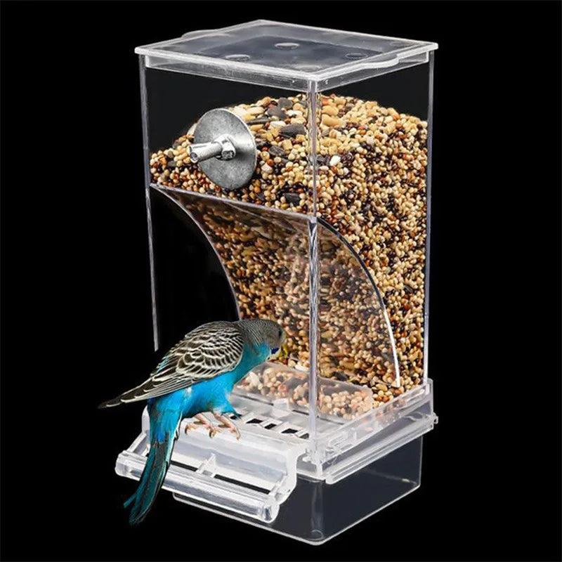 Automatic Parrot Feeder | No Mess Acrylic Seed Container