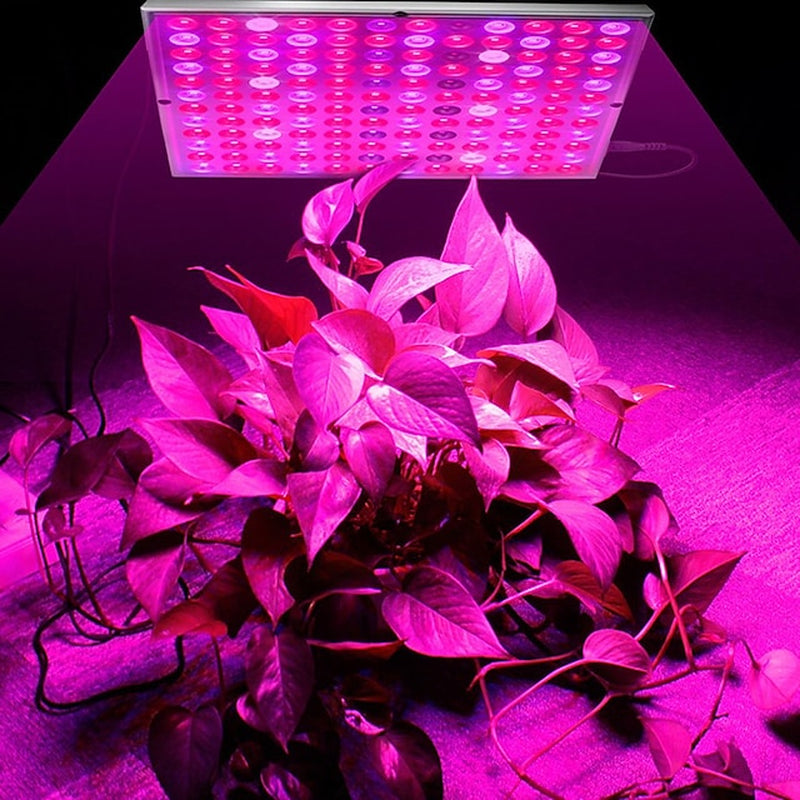 UV IR Grow Light for Indoor Plants LED Plant Growing Light Full Spectrum 45W 144LED Beads Energy Saving 85-265V Greenhouse Hydroponic Vegetable Flower