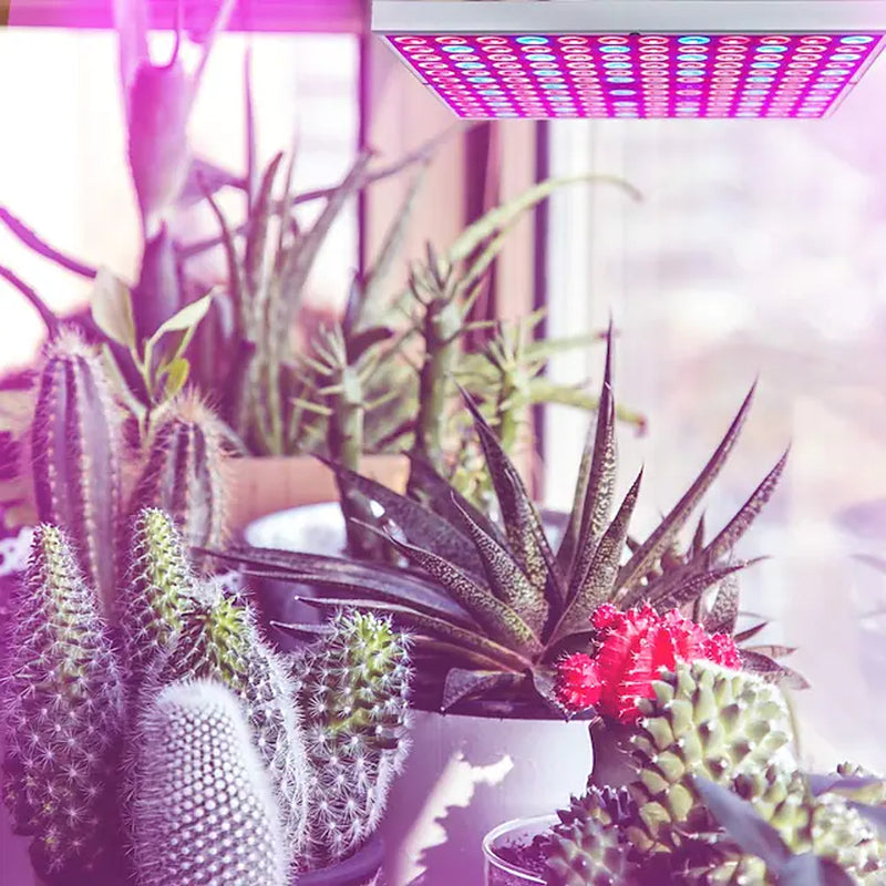 UV IR Grow Light for Indoor Plants LED Plant Growing Light Full Spectrum 45W 144LED Beads Energy Saving 85-265V Greenhouse Hydroponic Vegetable Flower