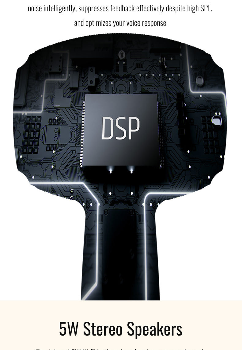 Takstar H1 All-in-one Karaoke Microphone