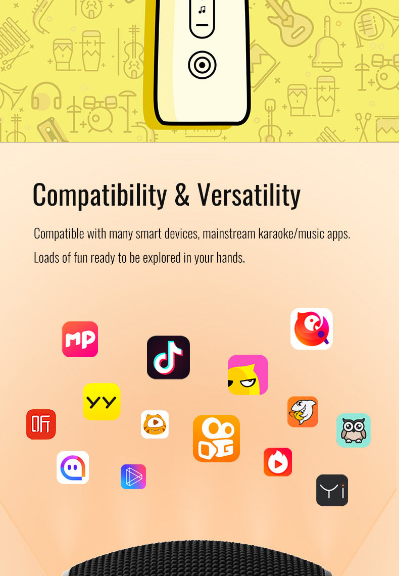 Takstar H1 All-in-one Karaoke Microphone