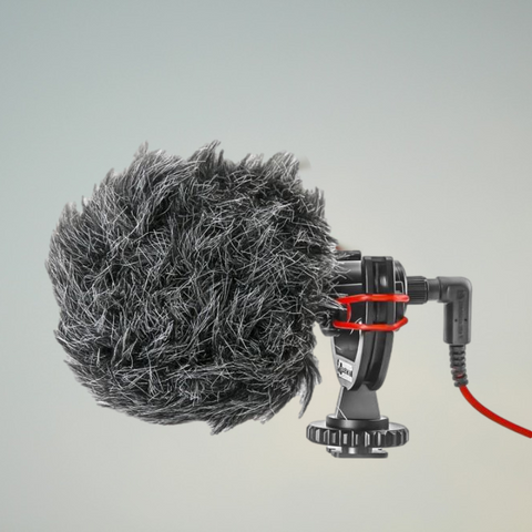 Shotgun Microphone
