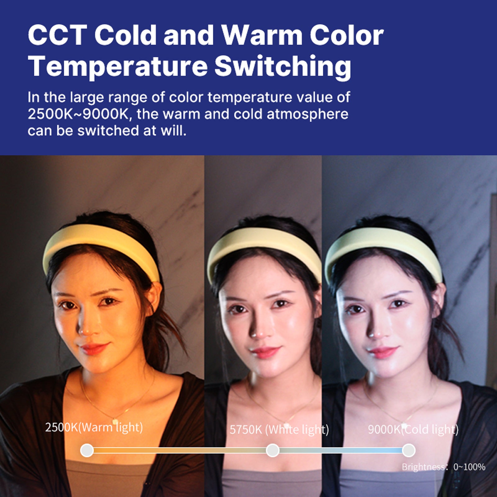 Ulanzi VL110 24CM Handheld Light Wand