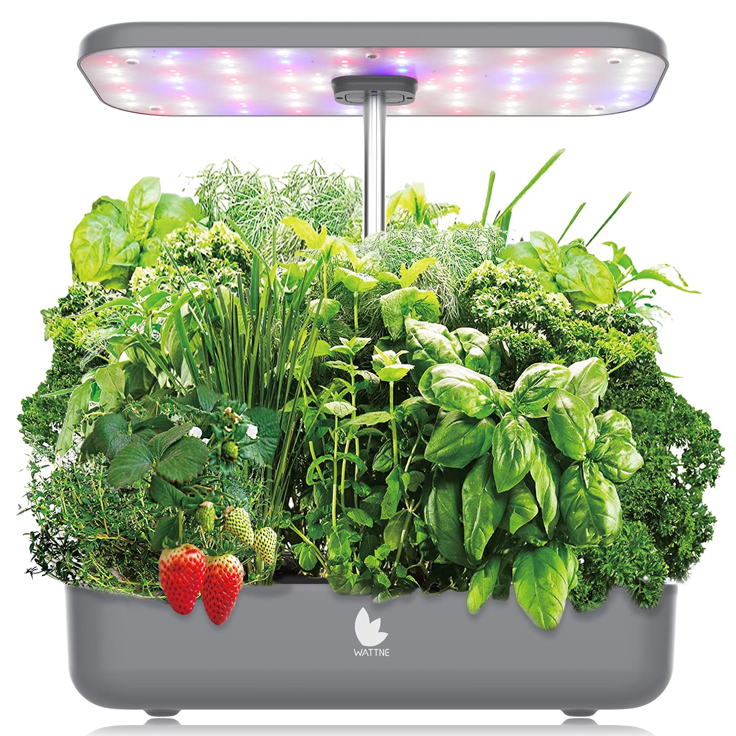 12 Pods Hydroponics Growing System w/ LED Grow Light | Charcoal