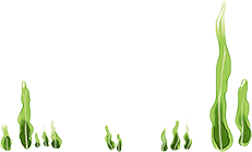 GweikeCloud Summer Vibes Aquatic plants