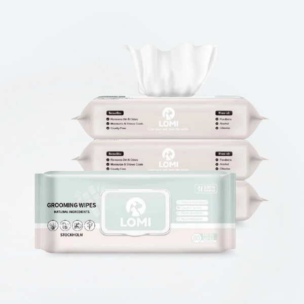 How Can I Protect My Dogs Paws In Winter