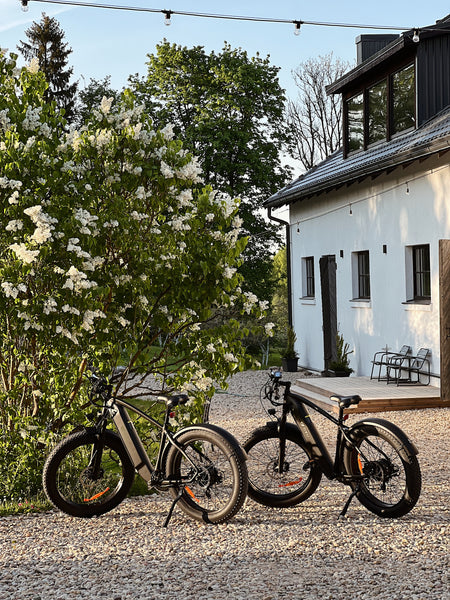 Full Suspension E-Bikes