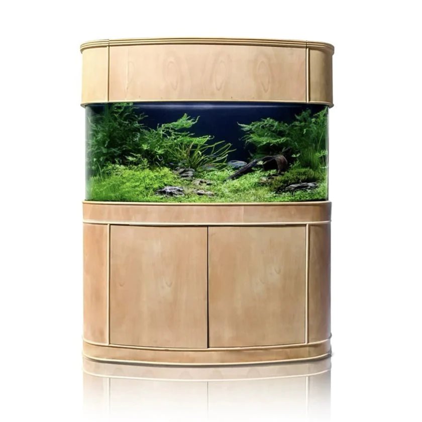215g Seamless Glass Bowfront Aquarium Set in Unstained Wood