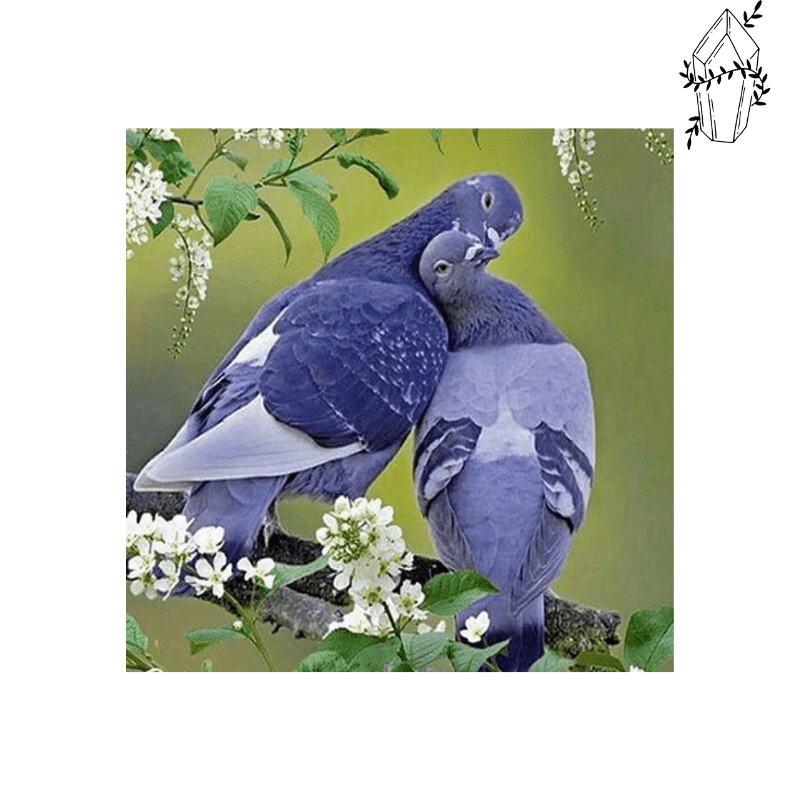 Diamond painting Couple of pigeon