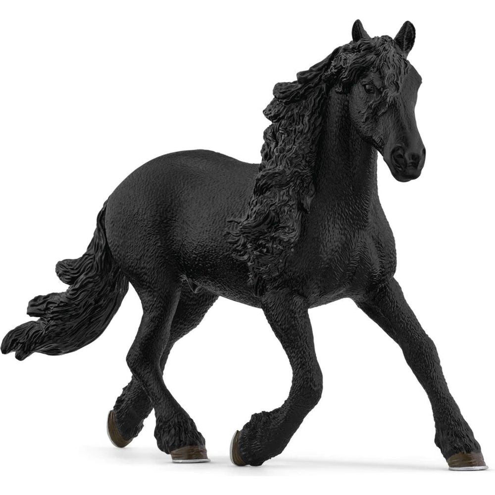 Friesian Stallion 13975