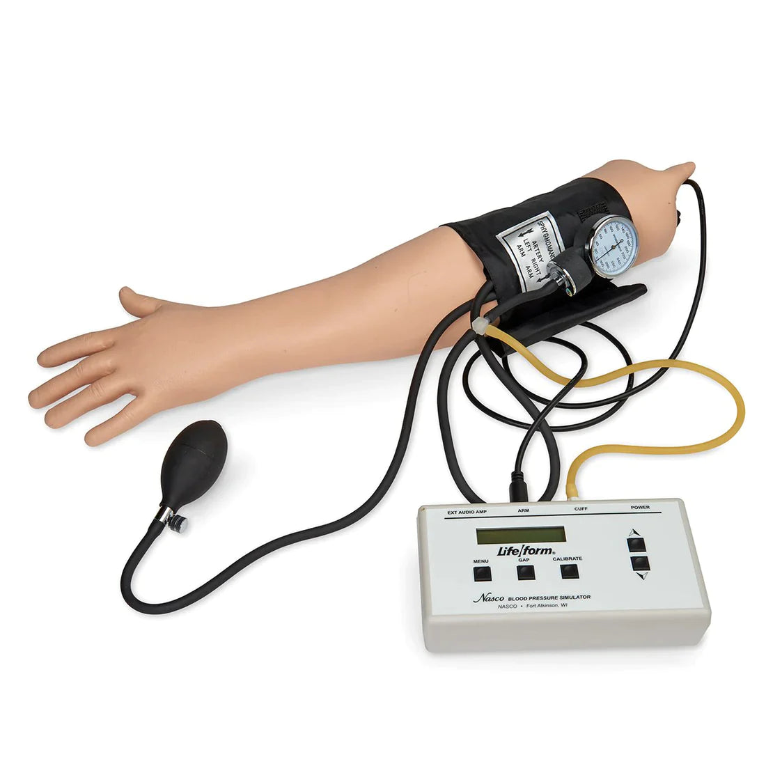Life/form? Blood Pressure Simulator