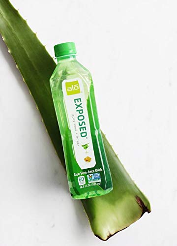 ALO Exposed Aloe Vera Juice Drink, Original + Honey, 16.9 Ounce (Pack of 12)