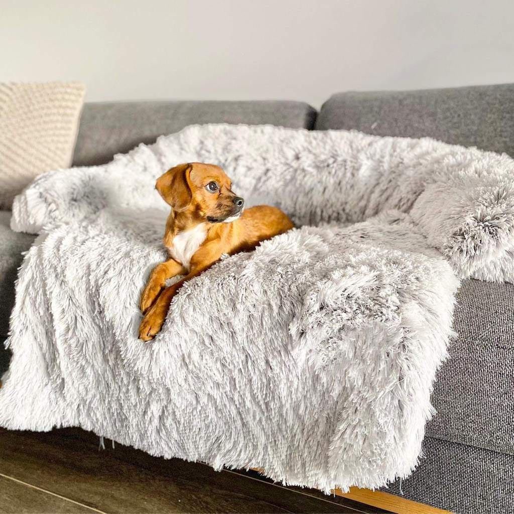 Calming Sofa Dog Bed