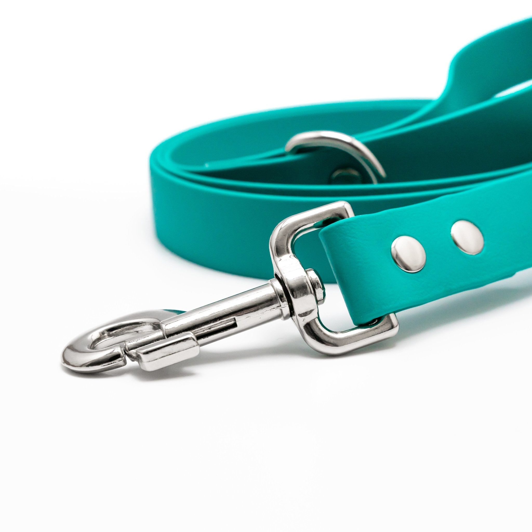 Biothane Classic Dog Leash