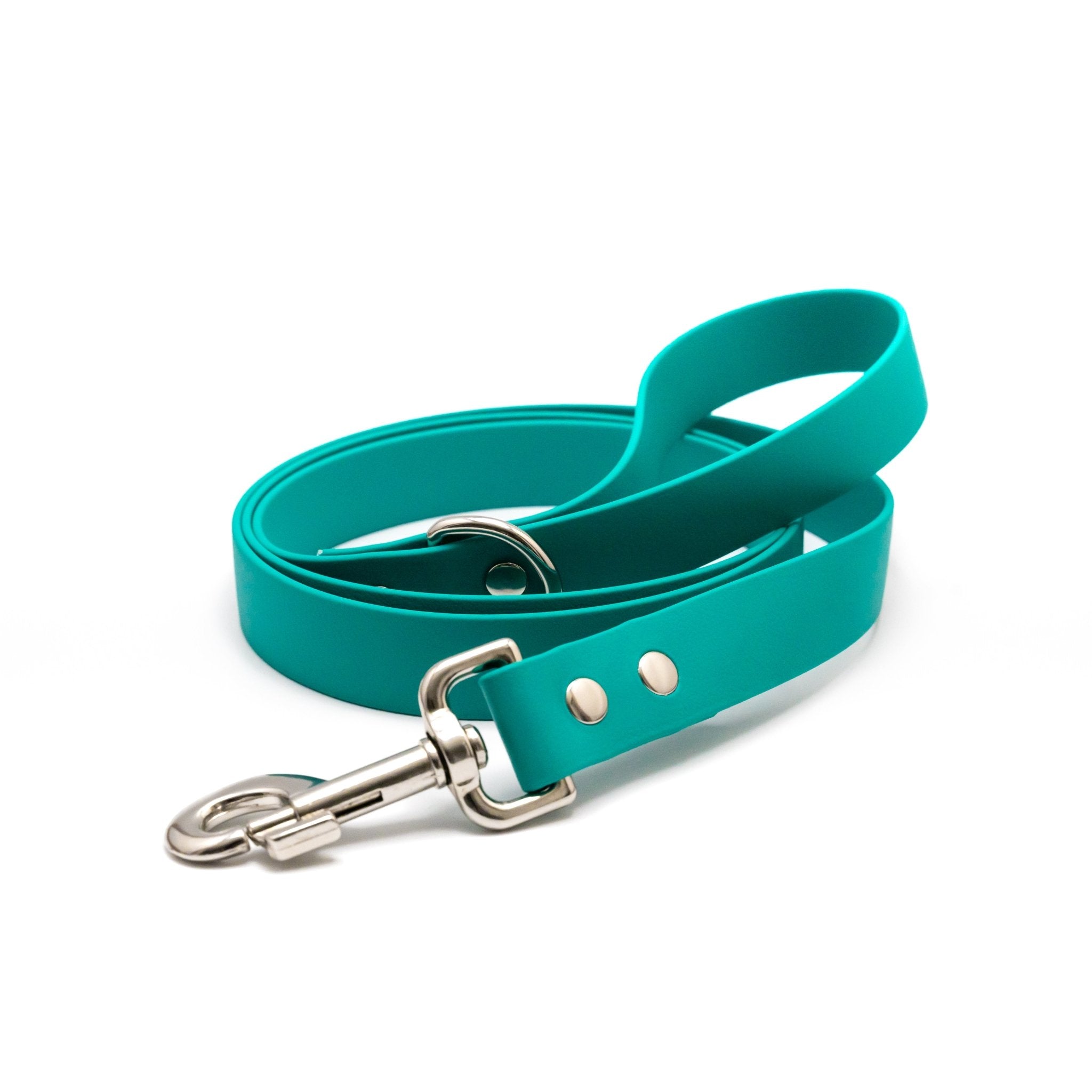 Biothane Classic Dog Leash